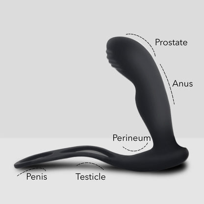 Vibrating Prostate Stimulator with Remote Control